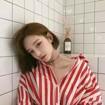 白色酢浆草